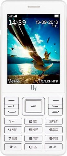 Мобильный телефон Fly TS114 Белый фото