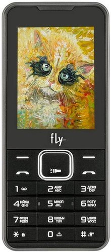 Мобильный телефон Fly FF243 Черный фото