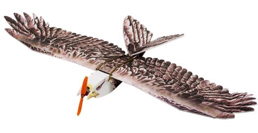 Радиоуправляемый самолет Dancing Wings Hobby DW E19 Eagle V2 с дополнительными аксессуарами фото