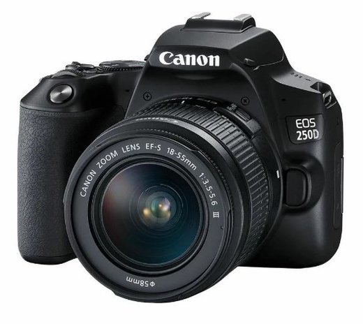 Зеркальный фотоаппарат Canon EOS 250D Kit 18-55 III фото