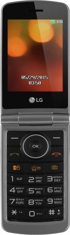 Мобильный телефон LG G360 Титан серый фото