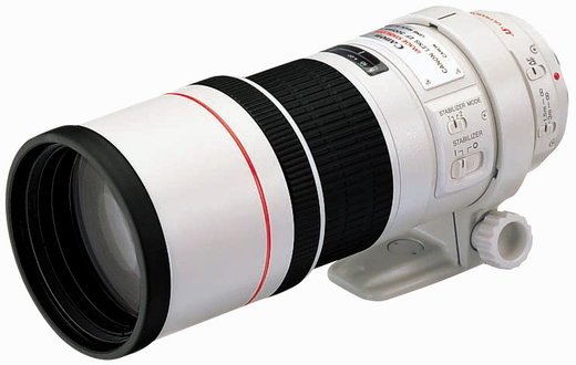 Объектив Canon EF 300mm f/4L IS USM фото