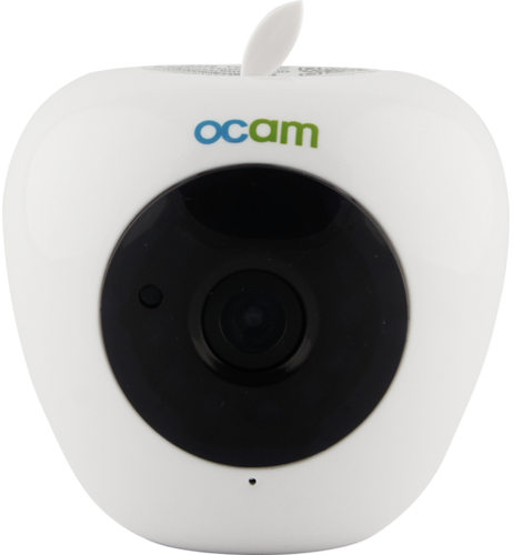 IP-камера OCAM-Apple фото