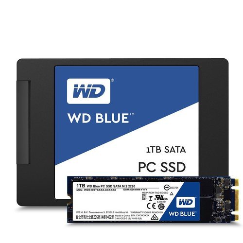 Жесткий диск SSD M.2 WD Blue 1Tb (WDS100T2B0B) фото