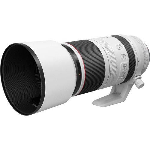 Объектив Canon RF 100-500mm f/4.5-7.1L IS USM фото
