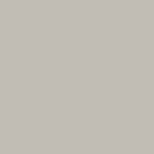 Фон бумажный Vibrantone 2,1х6м Foggy Grey 08 светло-серый фото