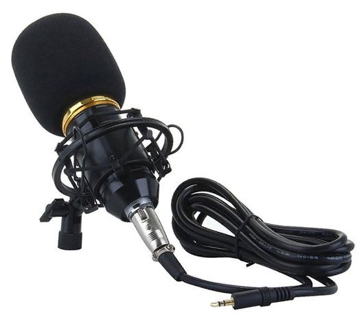 Конденсаторный звукозаписывающий микрофон BM-800, черный фото