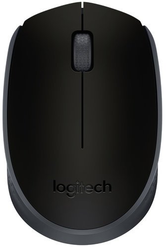Беспроводная мышь Logitech M171, черный фото