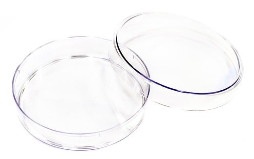 Чашка Петри 100x20 мм, пластиковая, с крышкой фото