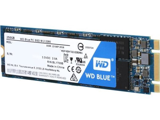 Жесткий диск SSD M.2 WD Blue 250Gb (WDS250G2B0B) фото