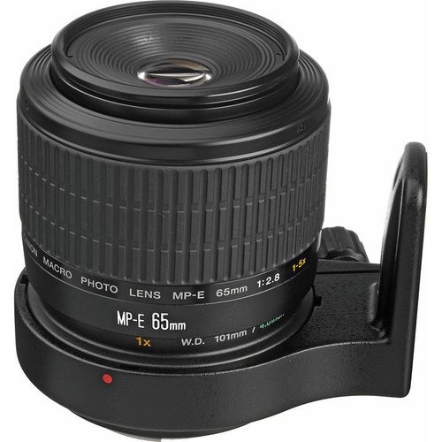 Объектив Canon MP-E 65mm f/2.8 1-5x Macro Photo фото