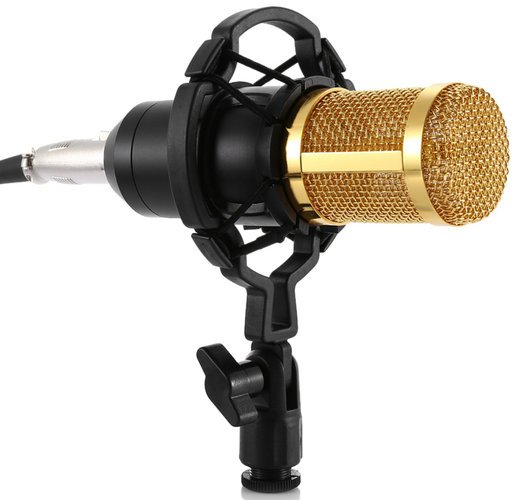 Звукозаписывающий микрофон ZEEPIN BM - 800, черный фото