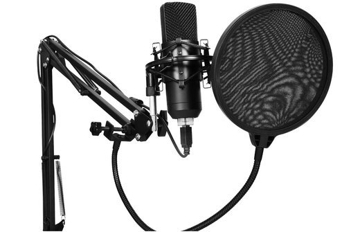 Микрофон SunWind SW-SM400G, черный фото