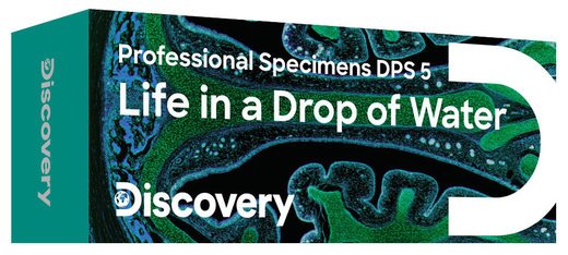 Набор микропрепаратов Discovery Prof DPS 5. «Жизнь в капле воды» фото