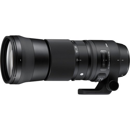 Объектив Sigma AF 150-600mm f/5-6.3 DG OS HSM Contemporary Nikon F фото