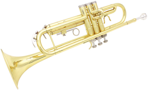 Труба Bb B Flat латунная, золотой фото