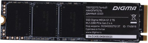 Жесткий диск SSD M.2 Digma Mega G12Tb (DGSM3002TG13T) фото