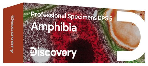 Набор микропрепаратов Discovery Prof DPS 5. «Амфибия» фото