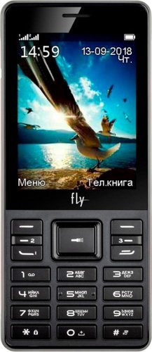 Мобильный телефон Fly TS114 Черный фото