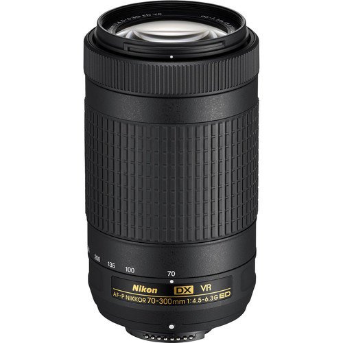 Объектив Nikon 70-300mm f/4.5-6.3G ED AF-P DX VR Zoom-Nikkor фото