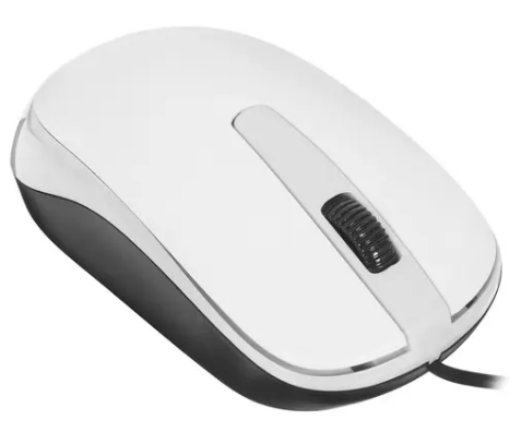Мышь Genius DX-120, белый фото