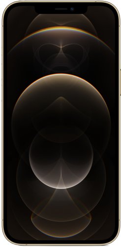 Смартфон Apple iPhone 12 Pro Max 128GB Золотистый (MGD93RU/A) фото