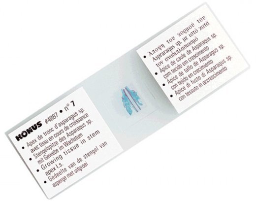 Набор микропрепаратов Konus 10 «Человеческое тело. Норма» фото